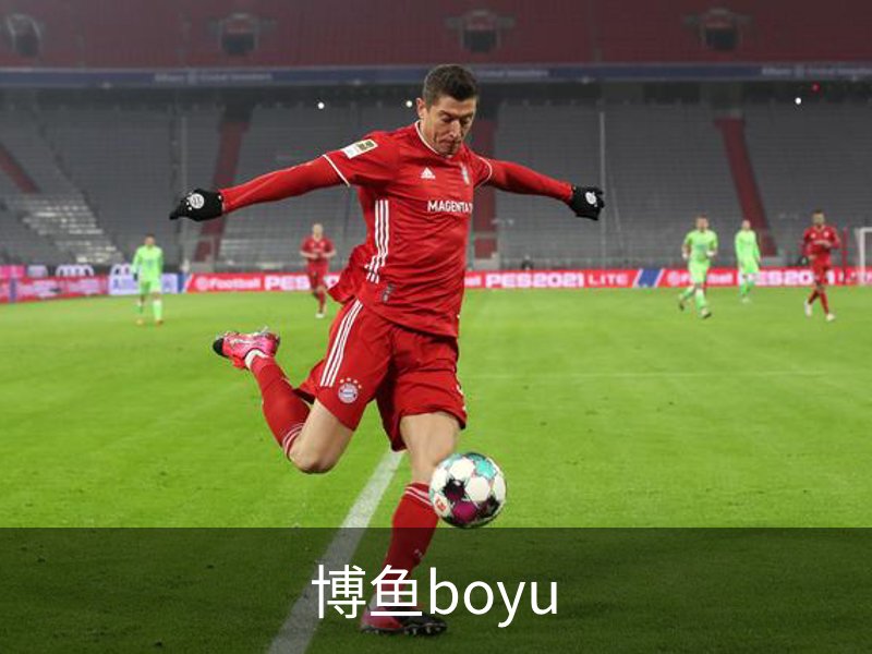 关于博鱼boyu